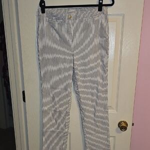 Zac & Rachel Blue and White Striped Garment